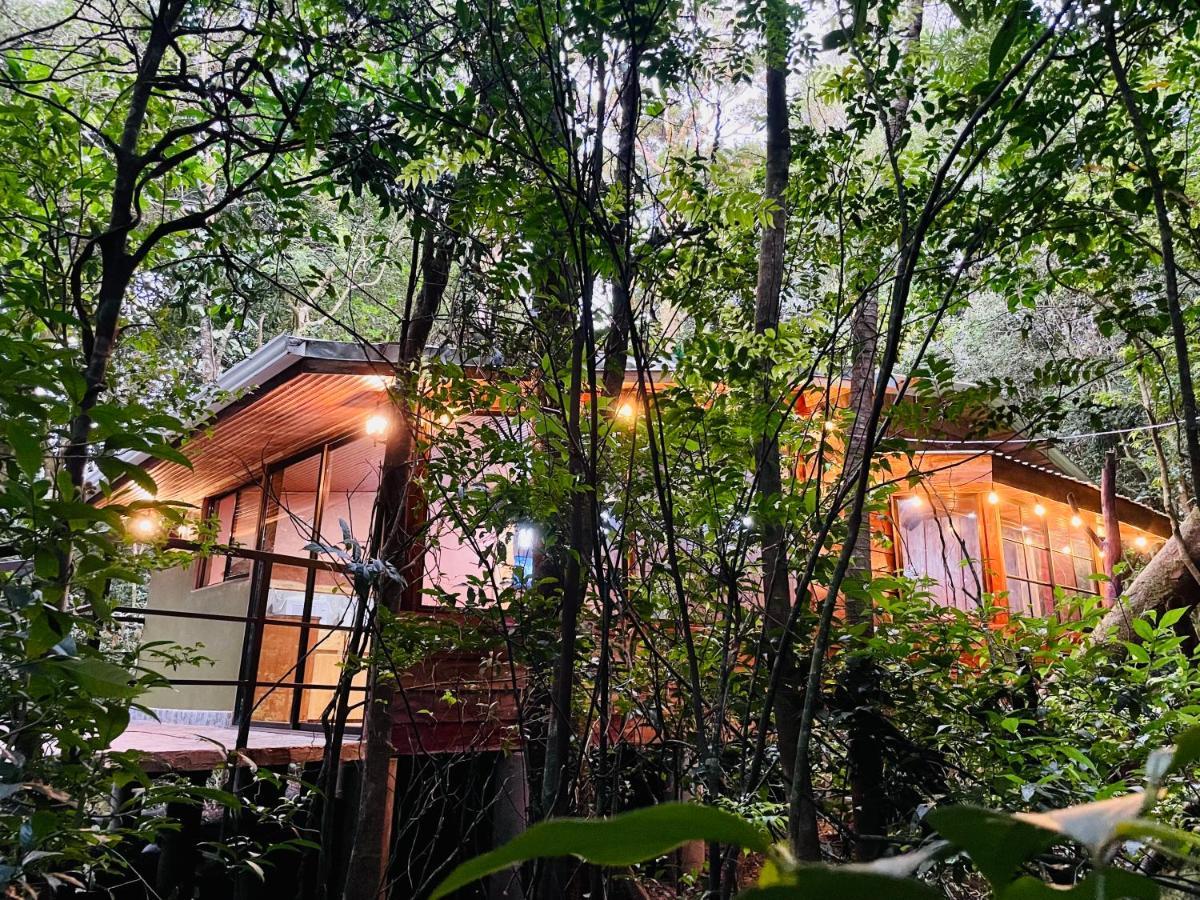 Cabanas La Montana Monteverde Luaran gambar