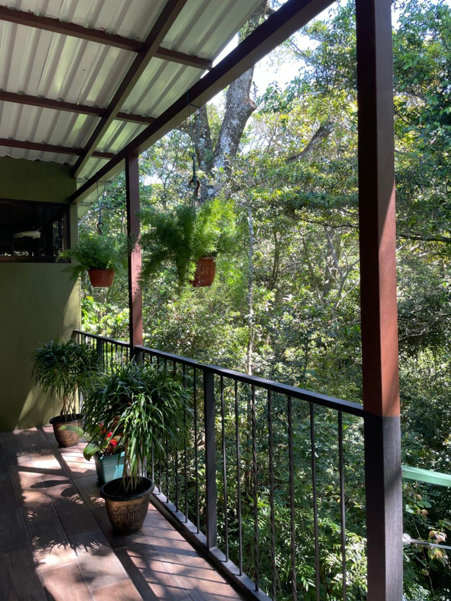Cabanas La Montana Monteverde Luaran gambar