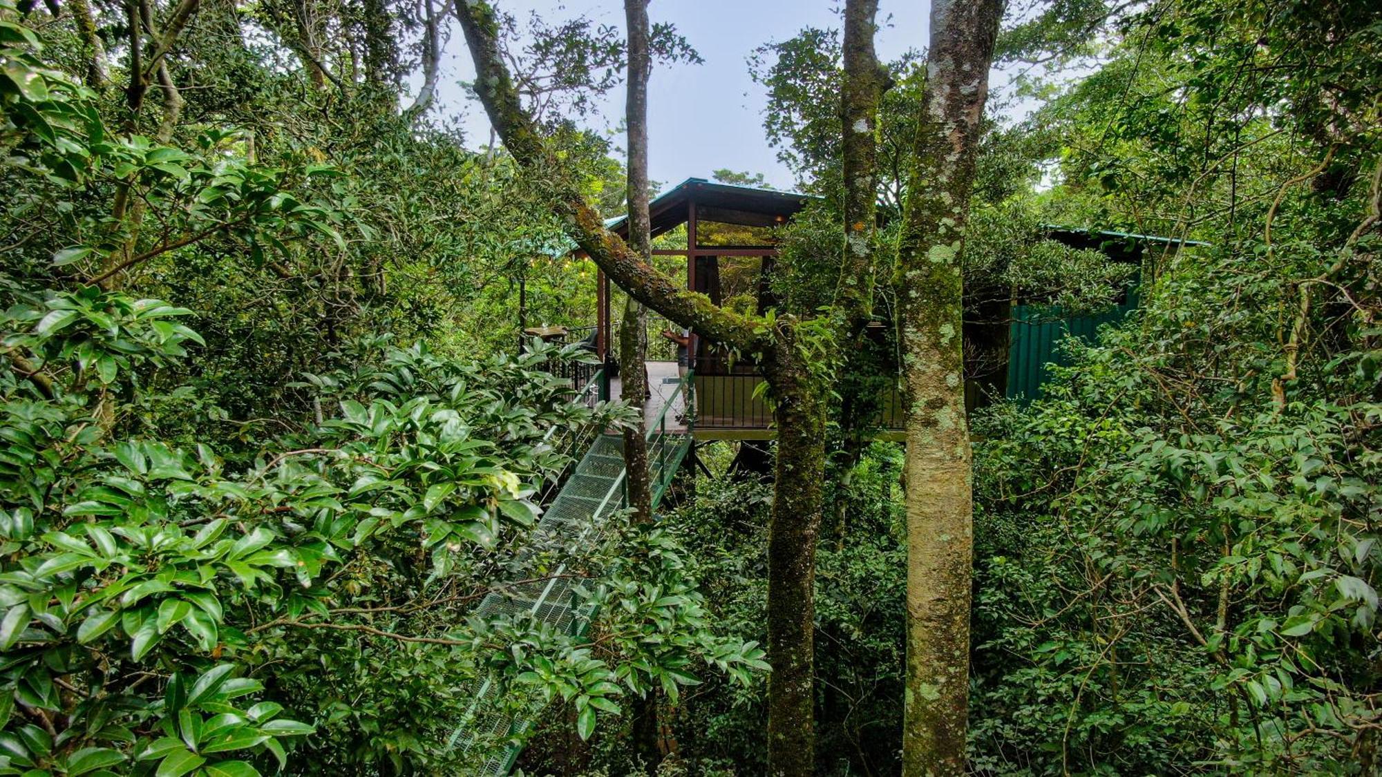Cabanas La Montana Monteverde Luaran gambar