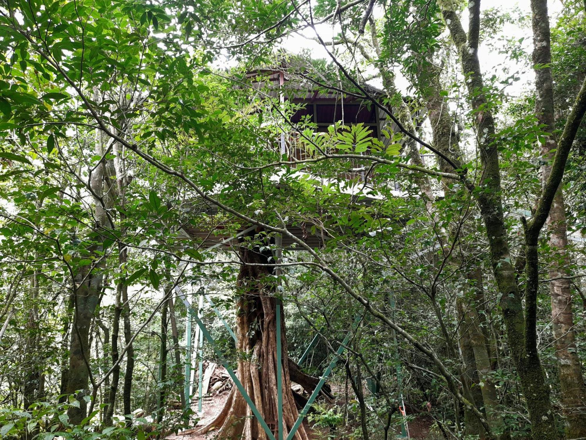 Cabanas La Montana Monteverde Luaran gambar
